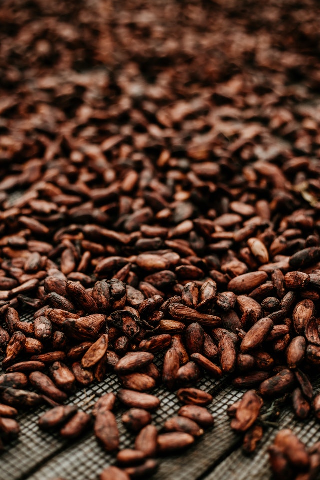 Cacao beans 2