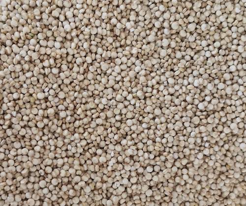 Ayni Bio Royal Quinoa Korn